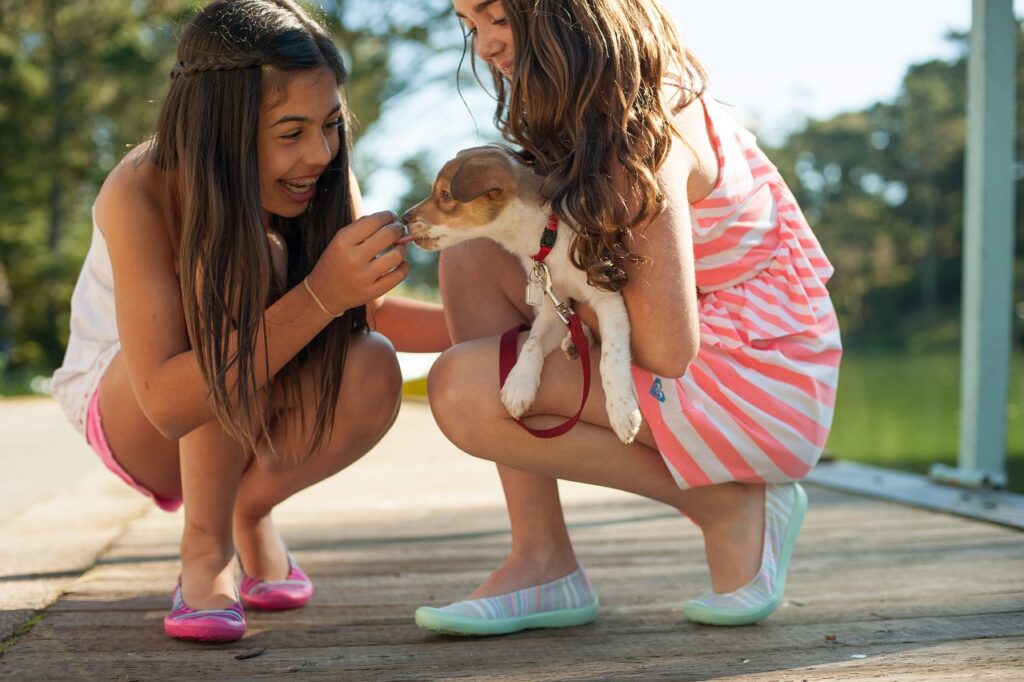 girls, dog, playing-5801275.jpg