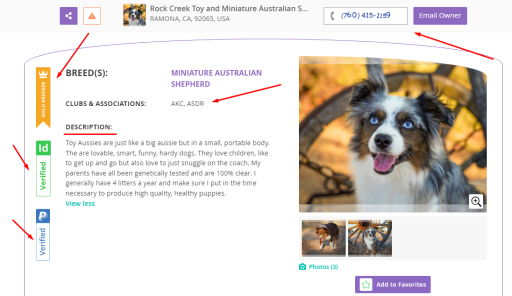 Reputable puppy breeders online