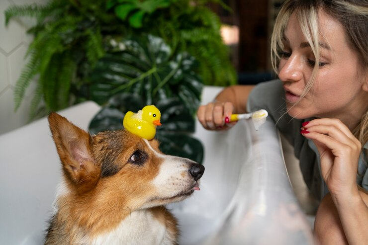 Puppy dental care