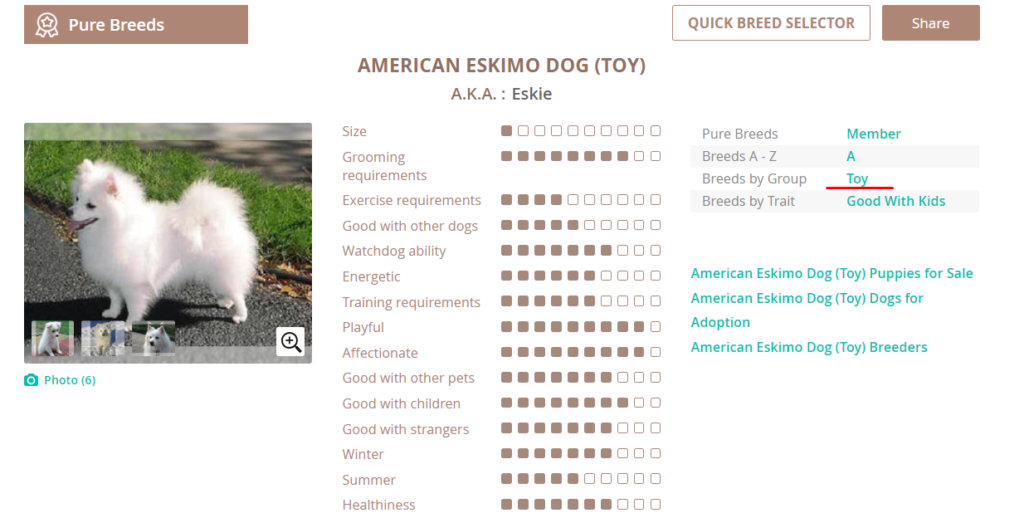 Puppy Breed Groups