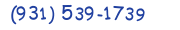 Contact phone