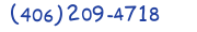 Contact phone