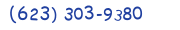 Contact phone