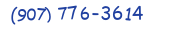 Contact phone