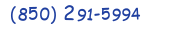 Contact phone