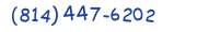 Contact phone