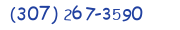 Contact phone