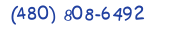Contacts Phone number