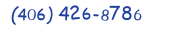 Contacts Phone number