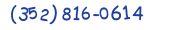 Contacts Phone number