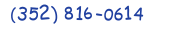 Contacts Phone number