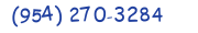 Contacts Phone number