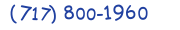Contact phone