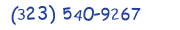Contacts Phone number