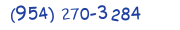 Contacts Phone number