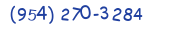 Contacts Phone number