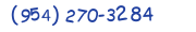 Contacts Phone number