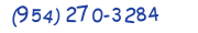 Contacts Phone number