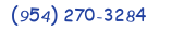 Contacts Phone number