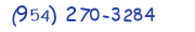 Contacts Phone number