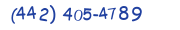 Contacts Phone number