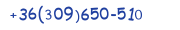 Contacts Phone number