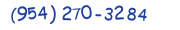 Contacts Phone number