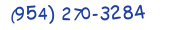 Contacts Phone number