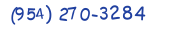 Contacts Phone number