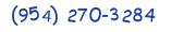 Contacts Phone number
