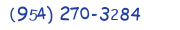 Contacts Phone number