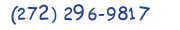 Contacts Phone number