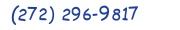Contacts Phone number