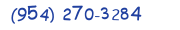 Contacts Phone number