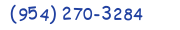 Contacts Phone number