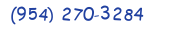 Contacts Phone number