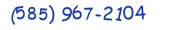 Contact phone