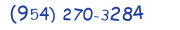 Contacts Phone number
