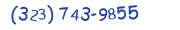 Contacts Phone number