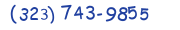 Contacts Phone number