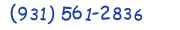 Contacts Phone number