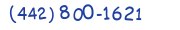 Contacts Phone number