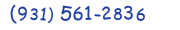 Contacts Phone number