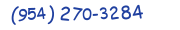 Contacts Phone number