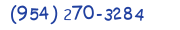 Contacts Phone number