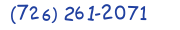 Contacts Phone number