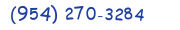 Contacts Phone number