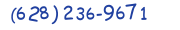 Contacts Phone number