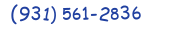 Contacts Phone number