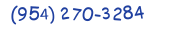 Contacts Phone number
